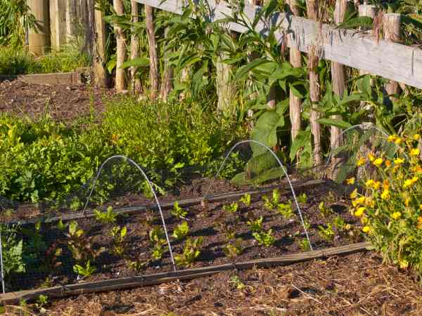 jardin et potager bastogne