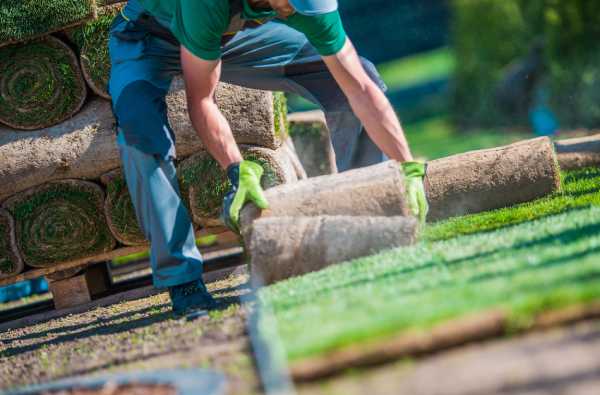 rouleau gazon jardin